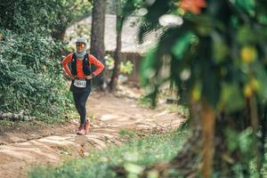 BIB: 
                            <button type="button" onclick="openModal(25275681)" class="btn btn-primary btn-sm float-right btn-popup" data-toggle="modal" data-target=".modal-high-quality">
                        <i class="fas fa-shopping-cart"></i> Add to Cart
                    </button>
                                            <button type="button" onclick="isThisMe(25275681, true)" class="btn btn-success btn-sm float-right btn-popup btn-isme hidden" data-toggle="tooltip" data-placement="bottom" title="นี่คือรูปของคุณใช่ไหม คลิกที่นี่เพื่อเอาเข้าอัลบั้ม">
                        <i class="fas fa-plus"></i> Add to album
                    </button>
                    <button type="button" onclick="isThisMe(25275681, false)" class="btn btn-warning btn-sm float-right btn-popup btn-isnotme hidden">
                        <i class="fas fa-ban"></i> Remove from album
                    </button>